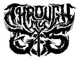 logo Through My Eyes (USA)